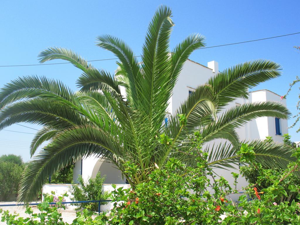 Mavromatis Studios Naxos City Exterior photo